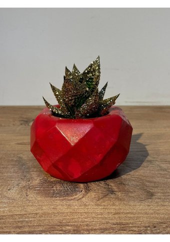 Pointflowers Prizma Sukulent Saksı Kaktüs Mumluk Saksı Kırmızı