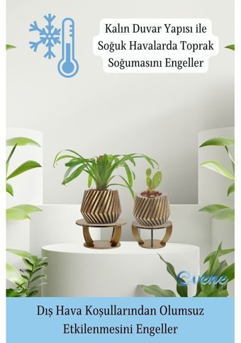 Evene Ahşap Ayaklı Beton Büyük Boy Set Dişli Model Saksı Altın Eskitme