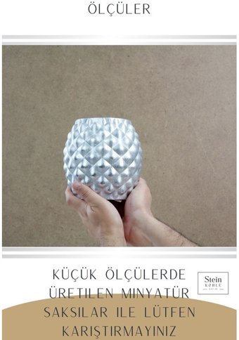 Evene Büyük Boy 2 Adet Ananas Model Saksı Gümüş
