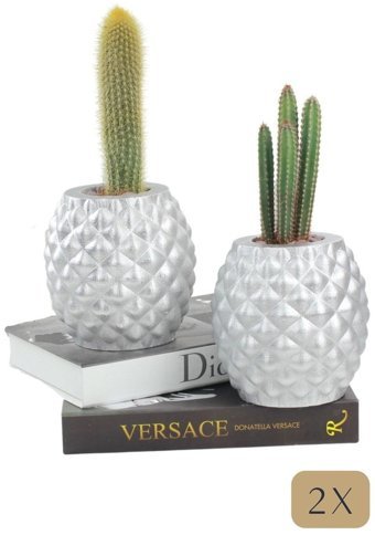 Evene Büyük Boy 2 Adet Ananas Model Saksı Gümüş