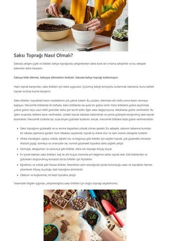 Montesev Bahar Dekoratif 2.5 lt Saksı Bordo