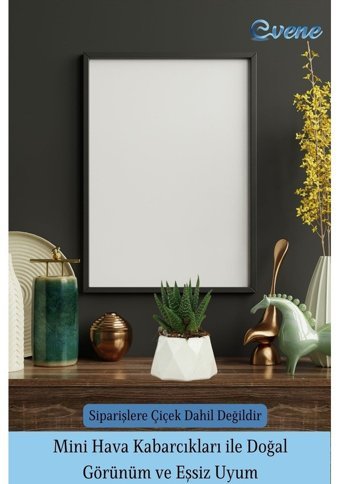 Evene Mini Sukulent Kaktüs Poly Model Saksı Beyaz