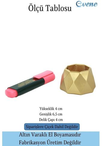 Evene Mini Sukulent Kaktüs Poly Model Saksı Altın