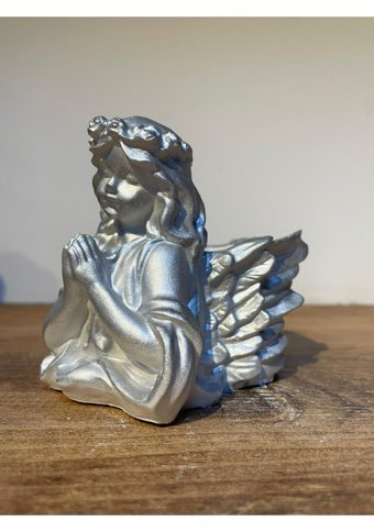 Pointflowers Silver Melek2 Sukulent Kaktüs Mumluk Saksı