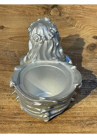 Pointflowers Silver Melek2 Sukulent Kaktüs Mumluk Saksı