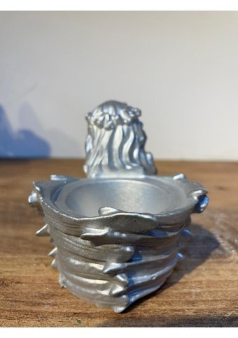 Pointflowers Silver Melek2 Sukulent Kaktüs Mumluk Saksı