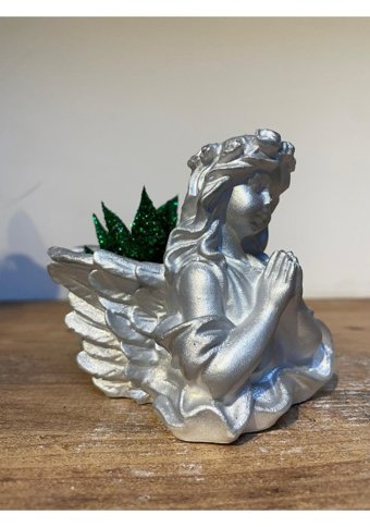 Pointflowers Silver Melek2 Sukulent Kaktüs Mumluk Saksı
