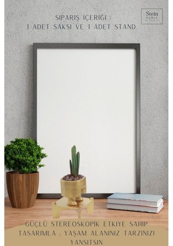 Evene Ayaklı Ahşap Dekoratif Kaktüs Pantolon Model Saksı Altın