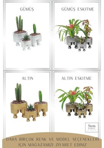 Evene Ayaklı Ahşap Dekoratif Kaktüs Pantolon Model Saksı Altın