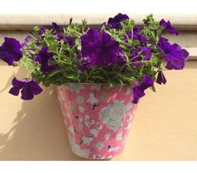 House2Home Plastik Güllü Duvar Saksı Pembe
