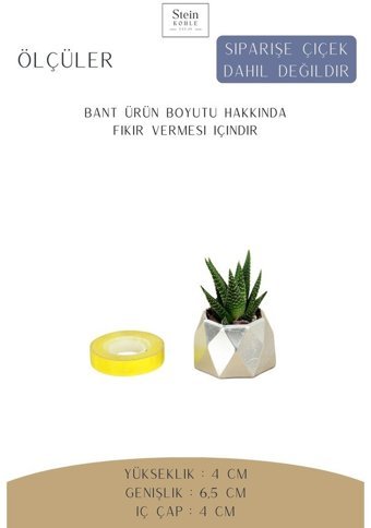 Evene Dekoratif Minik Kaktüs Poly Model Saksı Gümüş