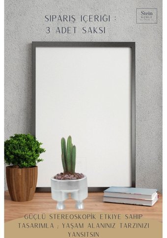 Evene Büyük Boy Pantolon Adet Çiçek Saksı Gümüş