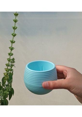 Asenya 1 Adet 0,55 lt Sukulent Saksısı Açık Mavi