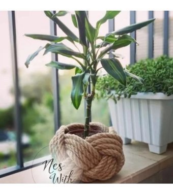 Neswith Orta Boy Halat Saksı Halat Sepet Jüt Halat İp Saksı