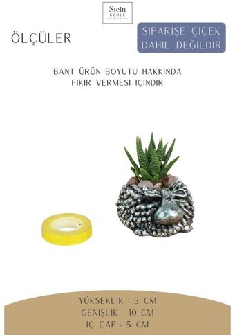 Evene Dekoratif Minik Kaktüs Koyun Model Saksı Gümüş Eskitme