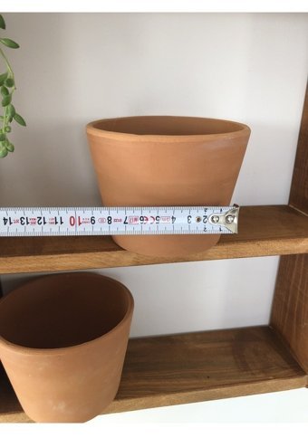 Emin Kaktüs Toprak Saksı Çömlek Saksı