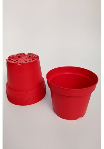 Tekpar Plastik Kaktüs Sukulent 5 Adet Saksı Kırmızı