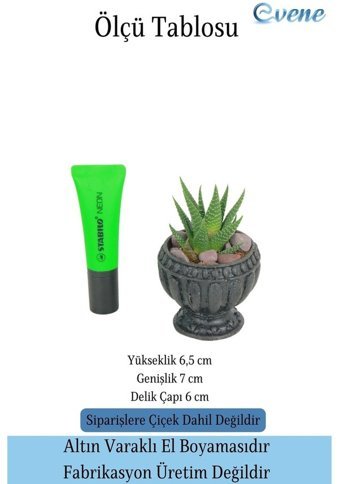 Evene Mini Sukulent Kaktüs Antika Vazo Model Saksı Siyah