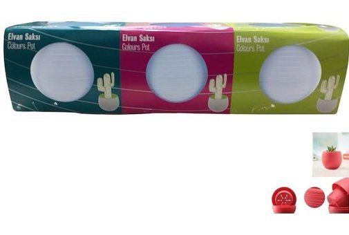 Elvan Saksı Kaktüs ve Sukulent 3 Adet 0.13 lt Saksı Beyaz