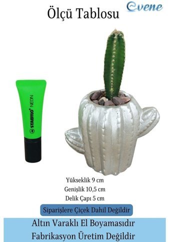 Evene Mini Sukulent Kaktüs Kaktüs Figür Model Saksı Gümüş