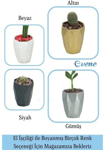 Evene Kaktüs Saksı Gümüş