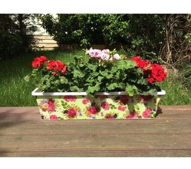 House2Home Plastik 10 Adet Saksı Güllü Balkon Saksısı