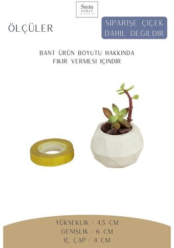 Evene Minik Kaktüs Dönen Poly Model Saksı Beyaz