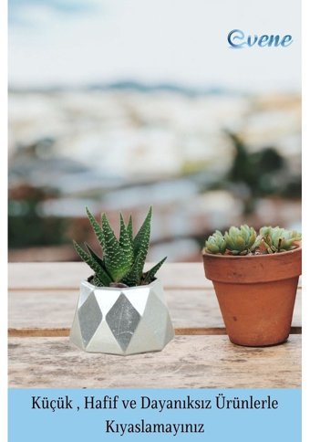 Evene Mini Çiçek Saksı Küçük Sukulent Kaktüs Saksısı Mini Poly Model Saksı Gümüş