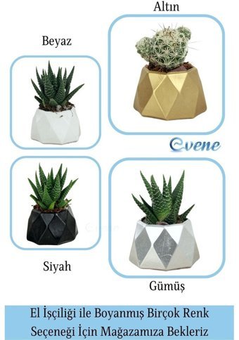 Evene Mini Çiçek Saksı Küçük Sukulent Kaktüs Saksısı Mini Poly Model Saksı Gümüş
