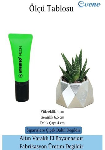 Evene Mini Çiçek Saksı Küçük Sukulent Kaktüs Saksısı Mini Poly Model Saksı Gümüş
