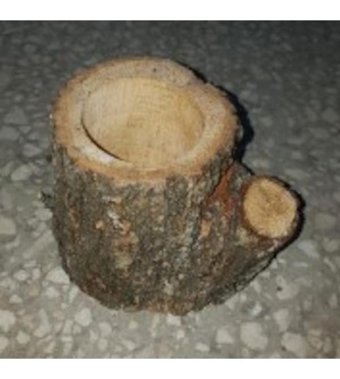 Ithal Ahşap Kaktüs Sukkulent Arajman Kaktüs Sukulent Kütük Tekli Saksı