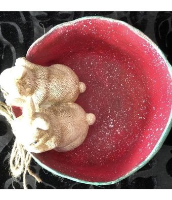 Florada Sepetli Tavşanlar Saksı Çok Renkli