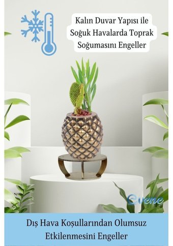 Evene Ahşap Ayaklı Beton Büyük Boy Ananas Model Saksı Altın Eskitme