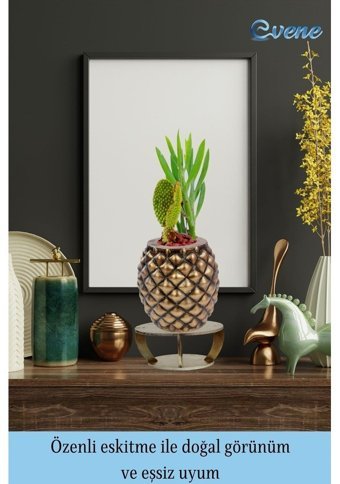 Evene Ahşap Ayaklı Beton Büyük Boy Ananas Model Saksı Altın Eskitme