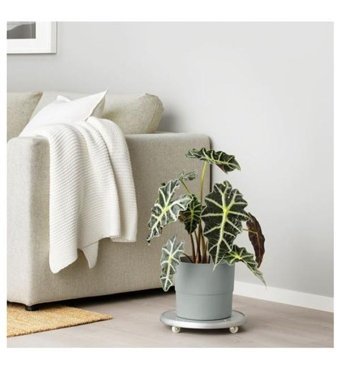 Ikea Nypon Plastik İç Dış Mekan Için Uygun Saksı Gri