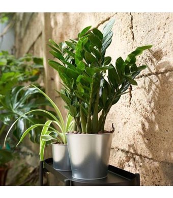 Ikea Akerbar Metal Çelik Galvanizli Saksı Gümüş