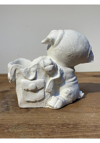 Pointflowers Köpek Saksı Beyaz