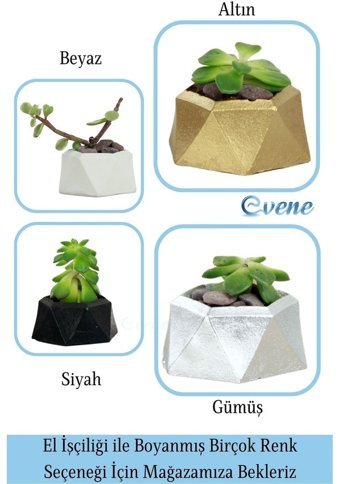 Evene Mini Sukulent Kaktüs Poly Model Saksı Gümüş
