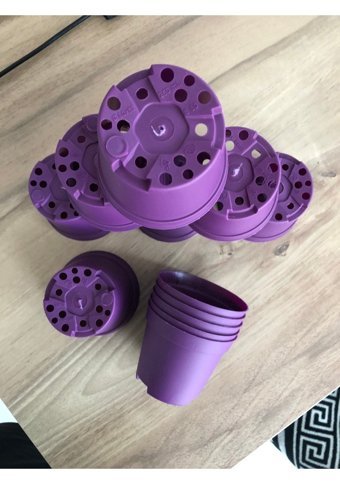 Serinova 10 Adet Saksı Mor