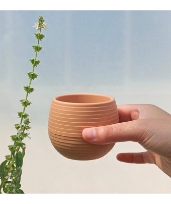 Asenya Kaktüs Saksısı 3 Adet 0.13 lt Saksı Somon