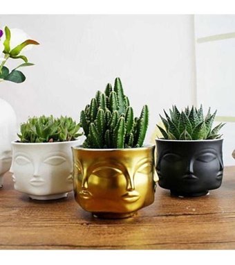 Florada 3 Adet 6'yüzlü Modern Saksı Çok Renkli
