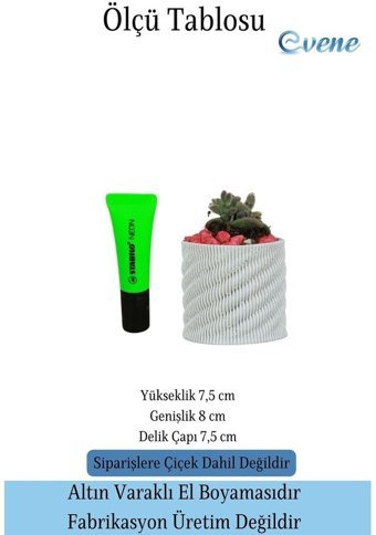 Evene Kaktüs Saksı Beyaz