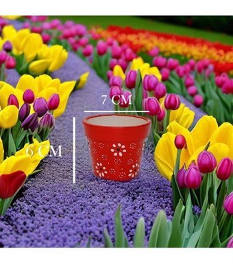 Porsellena Seramik 6 Parça Dekoratif Mini Skulent Saksı