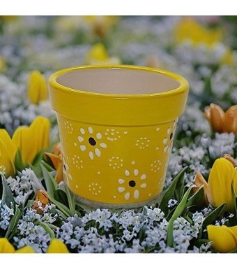 Porsellena Seramik 6 Parça Dekoratif Mini Skulent Saksı