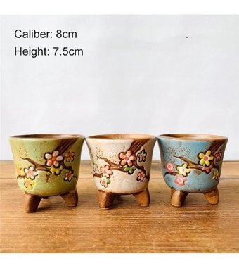 Florada 3 Adet Retro Sukulent ve Kaktüs Saksı Çok Renkli