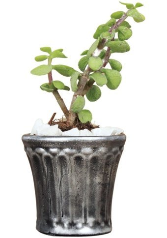 Evene Dekoratif Model 8 Saksı Gümüş Eskitme
