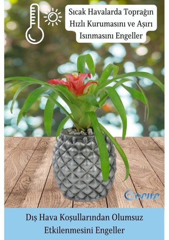 Evene Ahşap Ayaklı Beton Büyük Boy Set 2 Adet Ananas Model Saksı Gümüş Eskitme