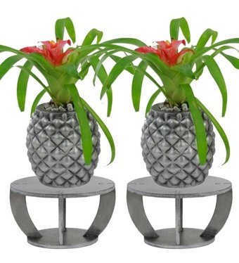 Evene Ahşap Ayaklı Beton Büyük Boy Set 2 Adet Ananas Model Saksı Gümüş Eskitme