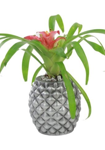 Evene Büyük Boy Ananas Model Saksı Gümüş Eskitme