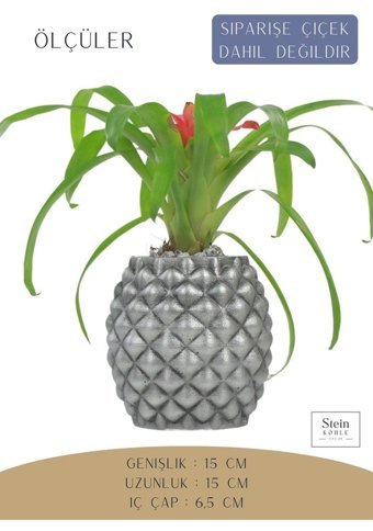Evene Büyük Boy Ananas Model Saksı Gümüş Eskitme